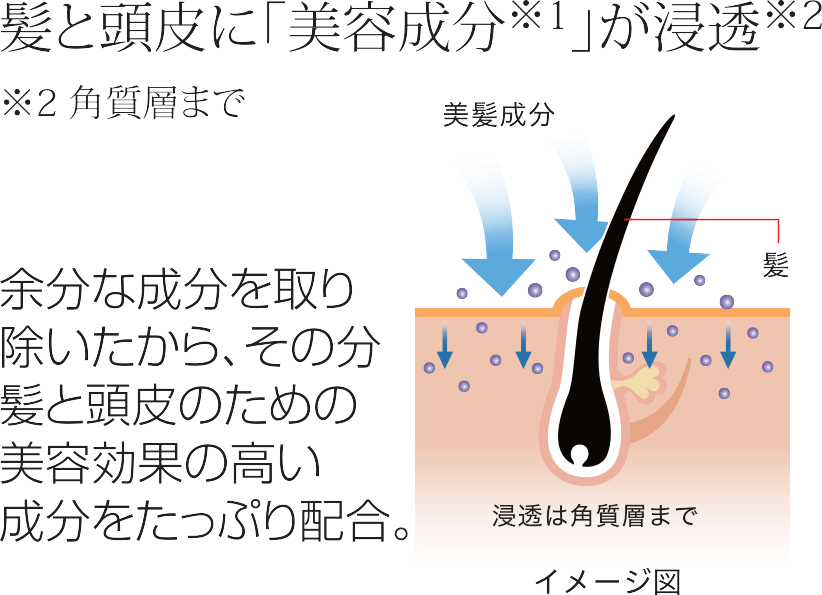 成分
