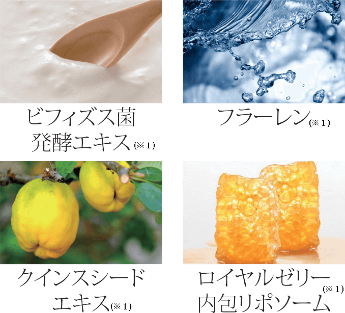 成分