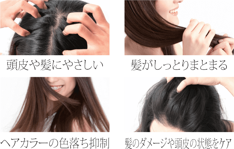 エコ