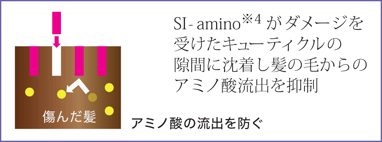 エコ